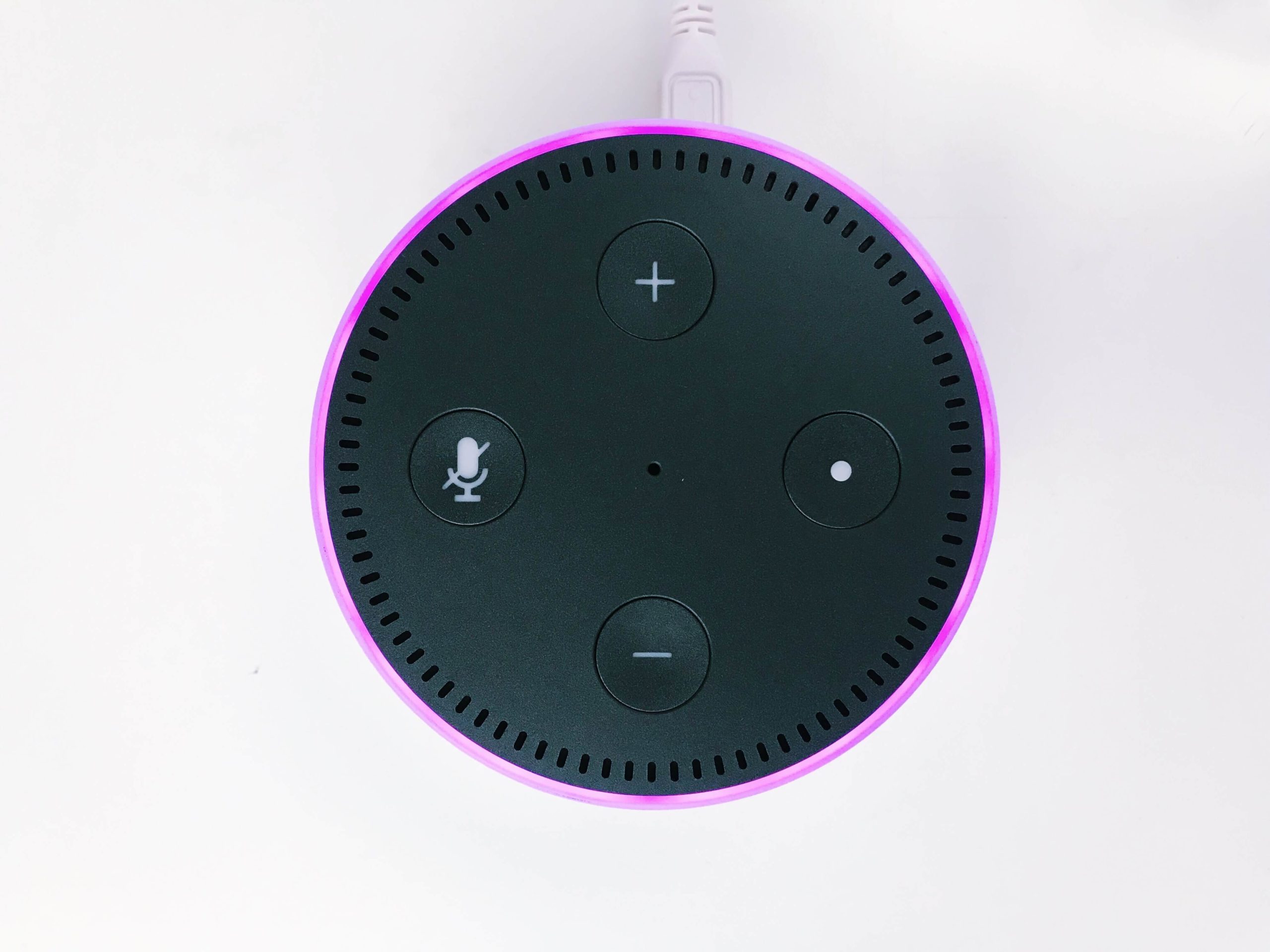 Amazon Alexa enables voice search