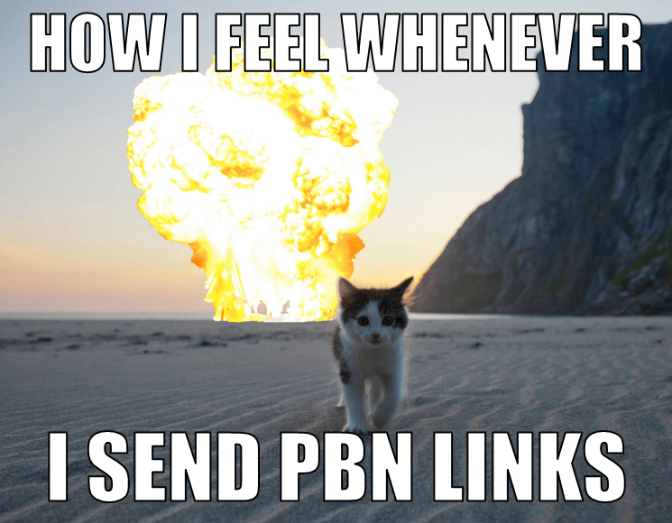 Cat Explosion sending PBN links meme