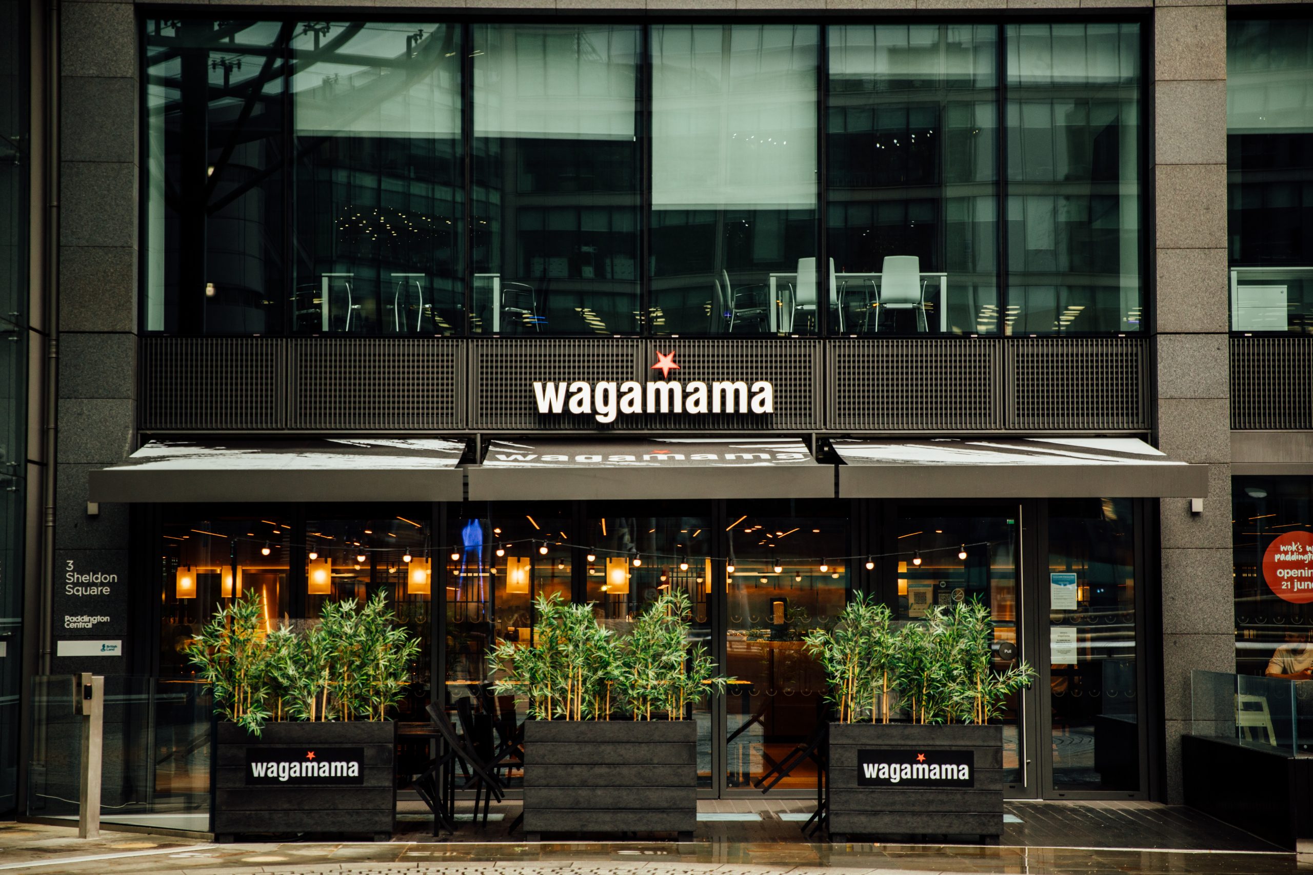 Case study featured image for Working closely with Wagamama to grow organic website traffic