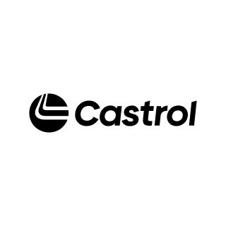 web design company work for castrol