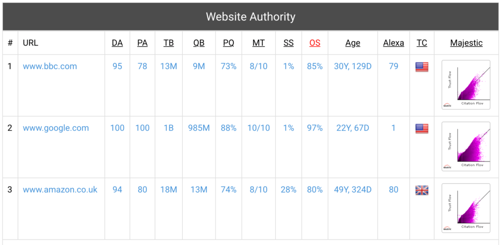 screenshot of website authority from website seo checker