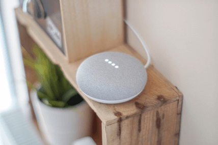 Google home voice search assistant